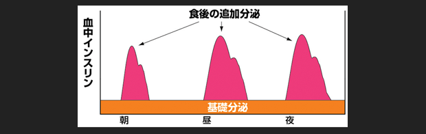 正常なインスリン分泌【グラフ】